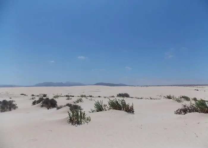 Pent House Ocean View Apartman Cotillo